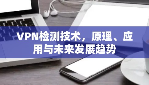VPN检测技术，原理、应用与未来发展趋势